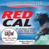 Natural Horse Vet Multi-Species Red Cal Grow Mane & Tail Supplement, 4-lb bag - image 2