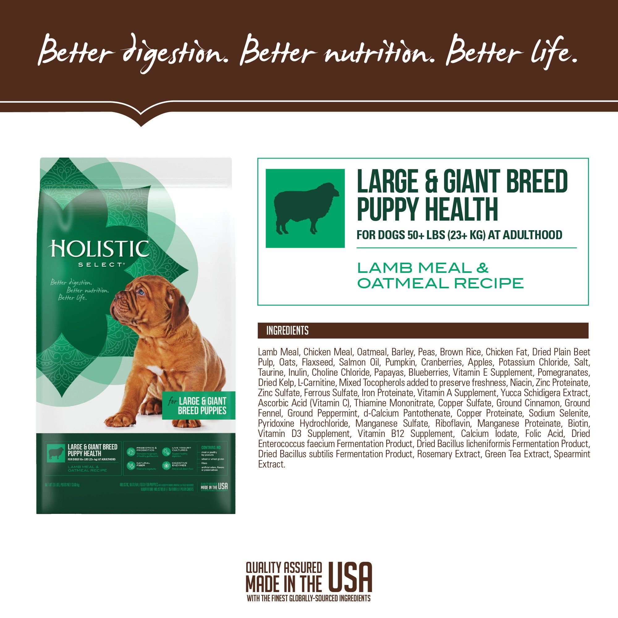 Holistic Select Large & Giant Breed Puppy Health Lamb Meal & Oatmeal Recipe Dry Dog Food, 30-lb bag - image 3