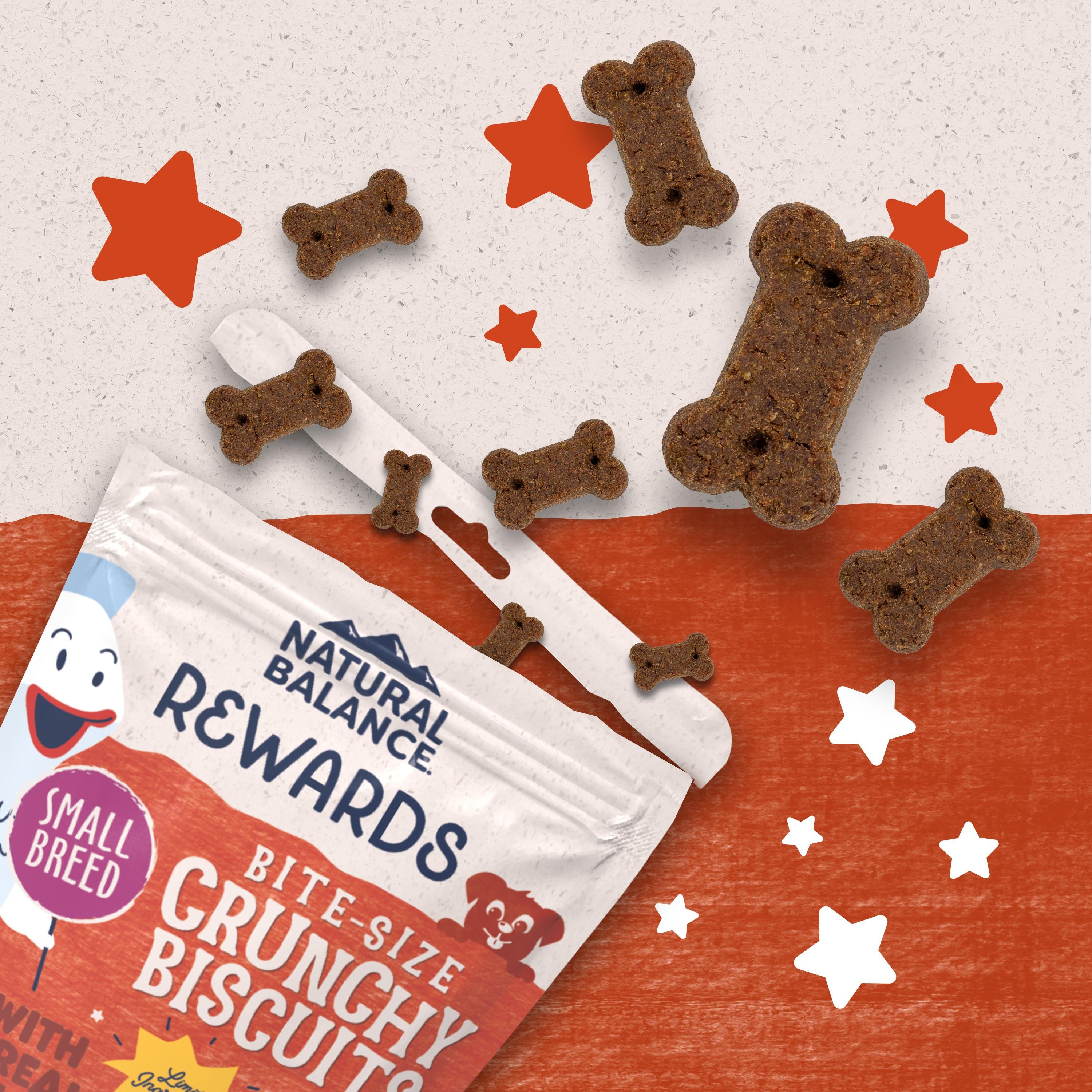 Natural Balance Rewards Small Breed Salmon Flavored Crunchy Biscuit Dog Treats, 8-oz bag