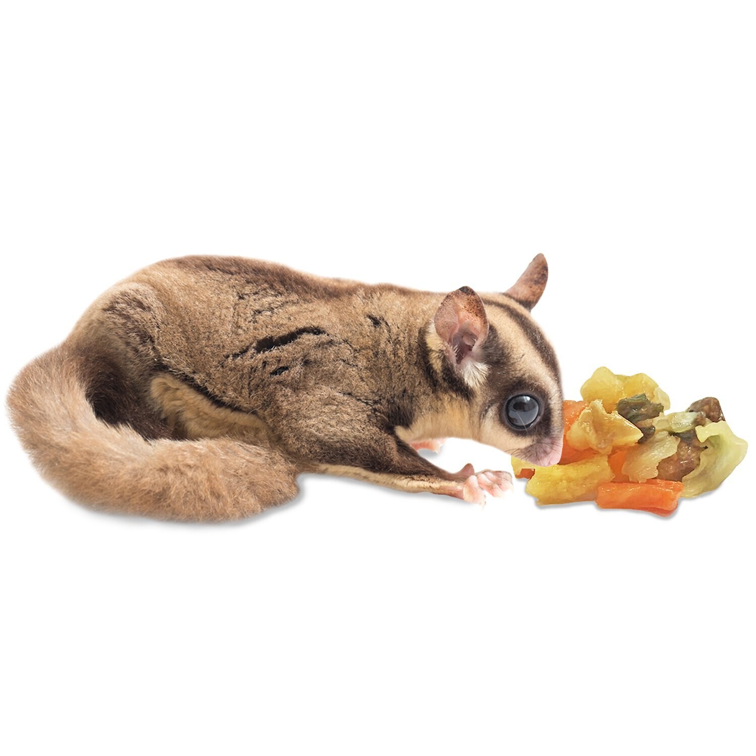 Exotic Nutrition ZooPro Garden Fresh Re-Hydrate Small Pet Treats, 10-oz bag - image 3