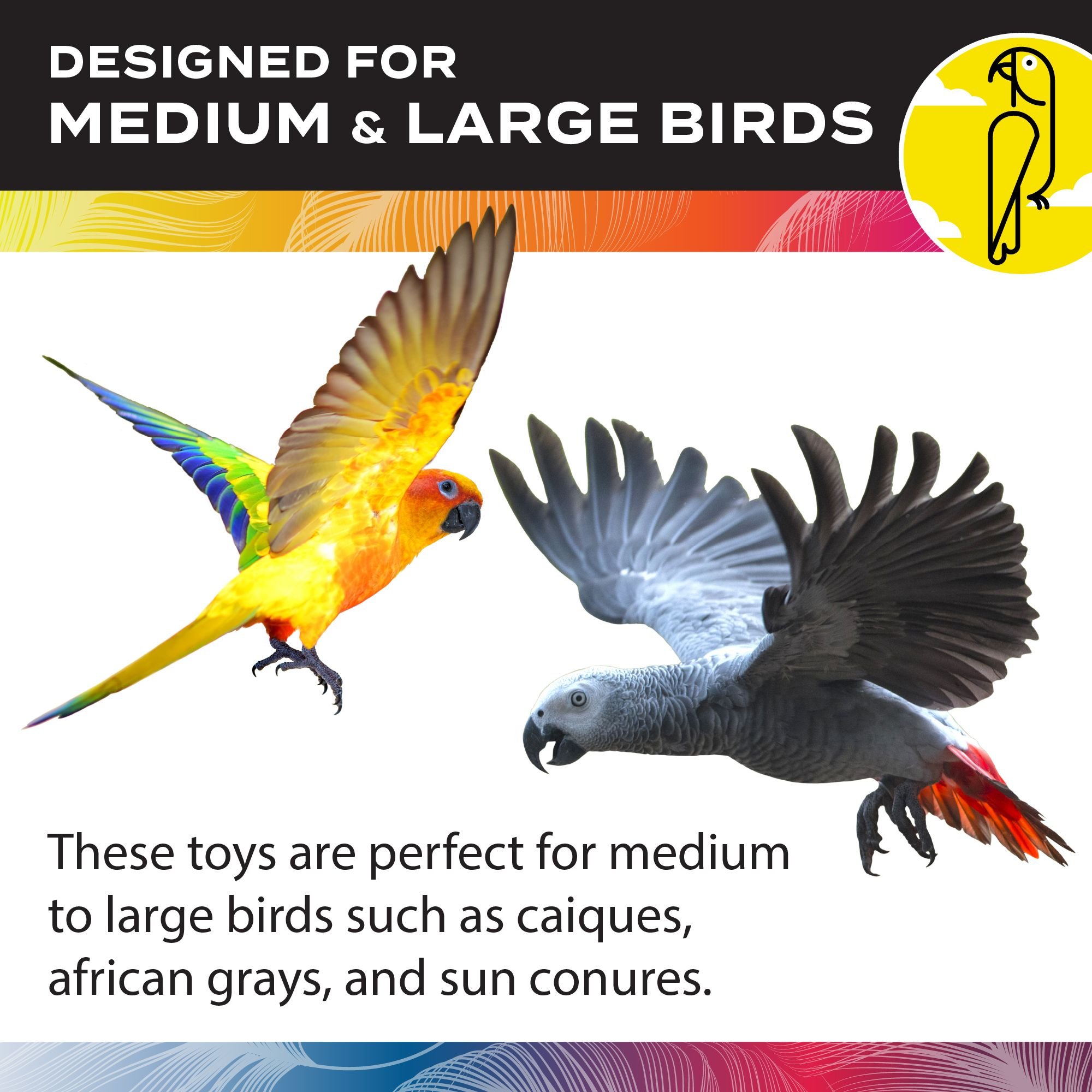 Caitec Featherland Paradise Curled Cotton Perch Bird Toy, 1/2 x 48-in