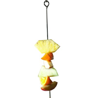 Caitec Featherland Paradise Working Lunch Skewer Bird Toy Extender, 12-in