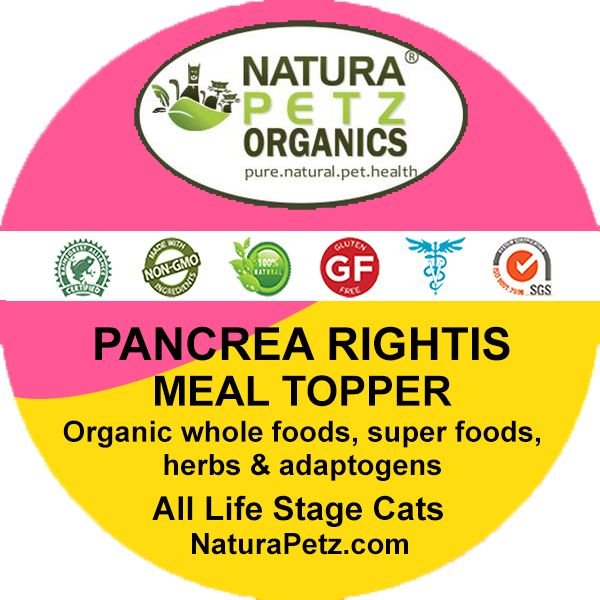 Natura Petz Organics PANCREA RIGHTIS MAX MEAL TOPPER* Pancreas Inflammation & Flow Support* Cat Supplement, 4-oz jar