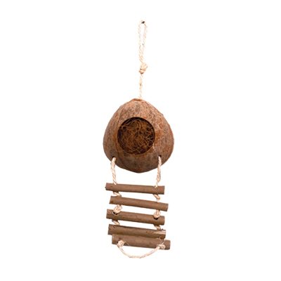 Happy Beaks by A&E Cage Company Coco Hideway with Ladder Bird Toy, Multicolor