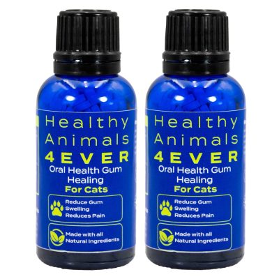 Healthy Animals 4Ever Oral Cat Dental Supplement, 25-g bottle, 2 count