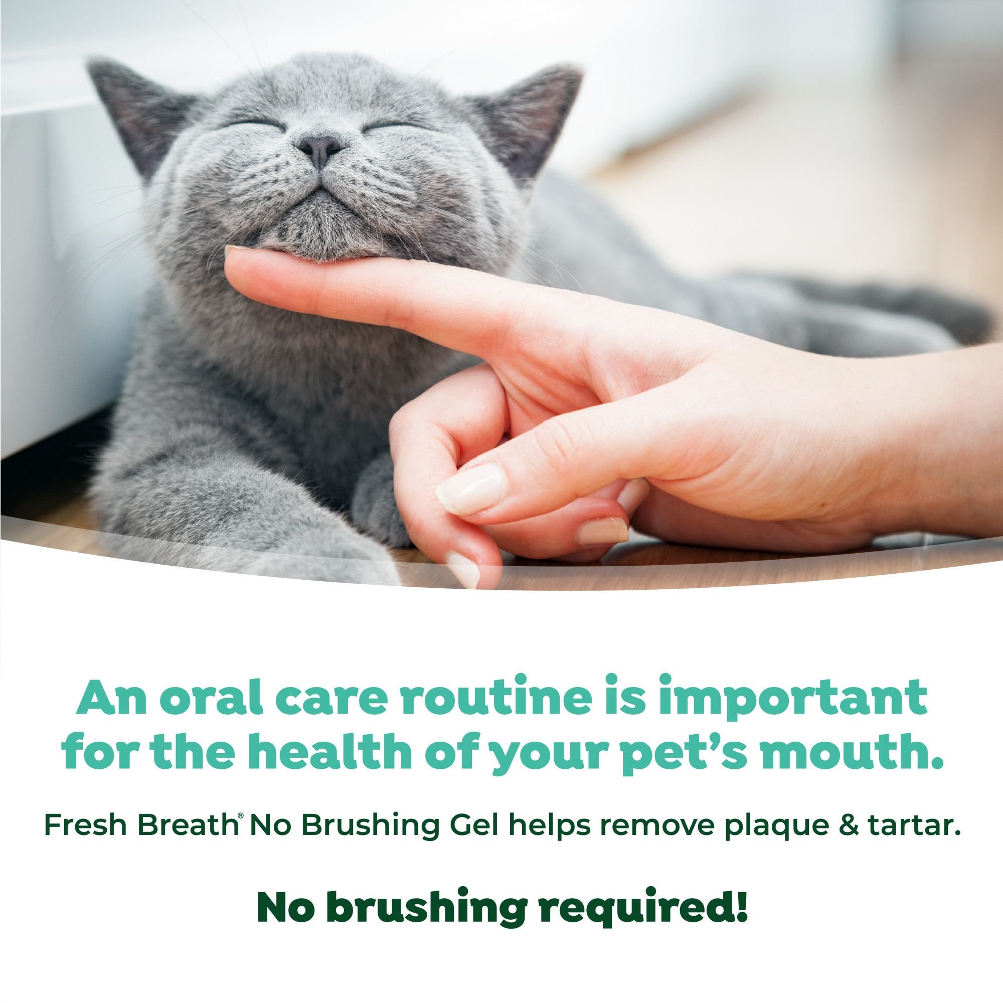TropiClean Fresh Breath Oral Care Clean Teeth Plaque & Tartar Remover Cat Dental Gel, 2-fl oz bottle