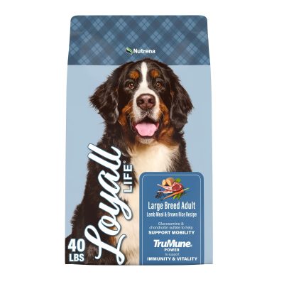 Nutrena Loyall Life Large Breed Lamb Meal & Brown Rice Recipe Adult Dog Food, 40-lb bag