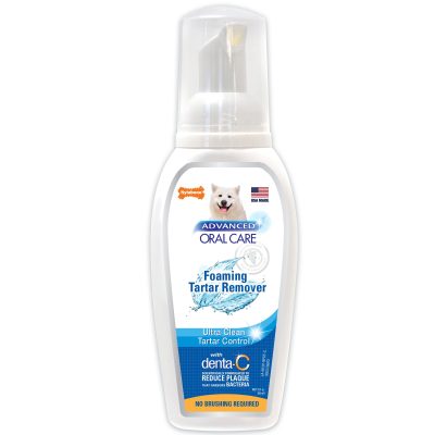 Nylabone Advanced Oral Care Dog Dental Foam, 3-oz bottle
