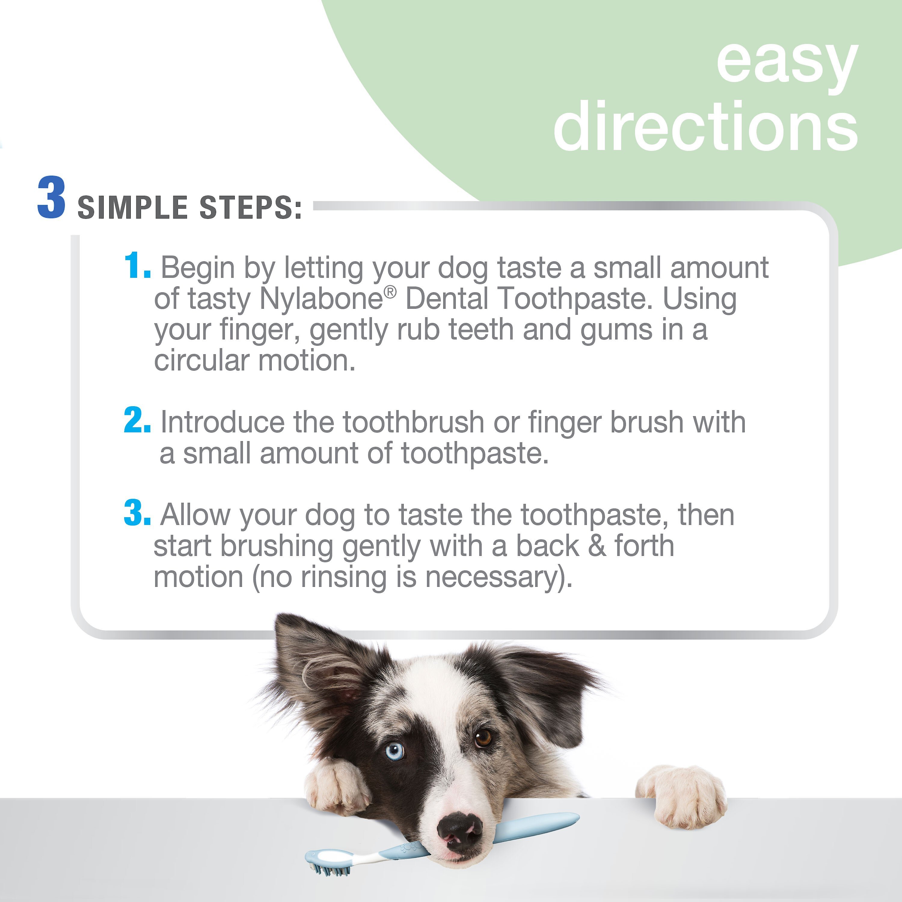 Nylabone Advanced Oral Care Natural Peanut Flavor Dog Toothpaste, 2.5-oz tube