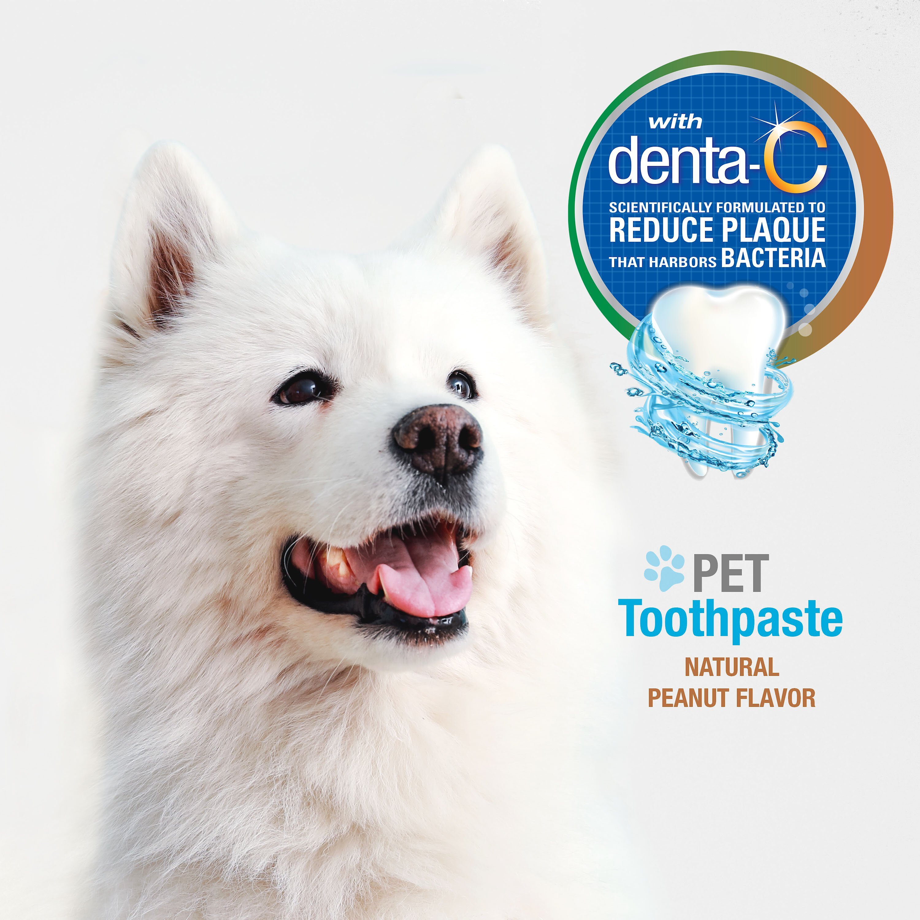 Nylabone Advanced Oral Care Natural Peanut Flavor Dog Toothpaste, 2.5-oz tube