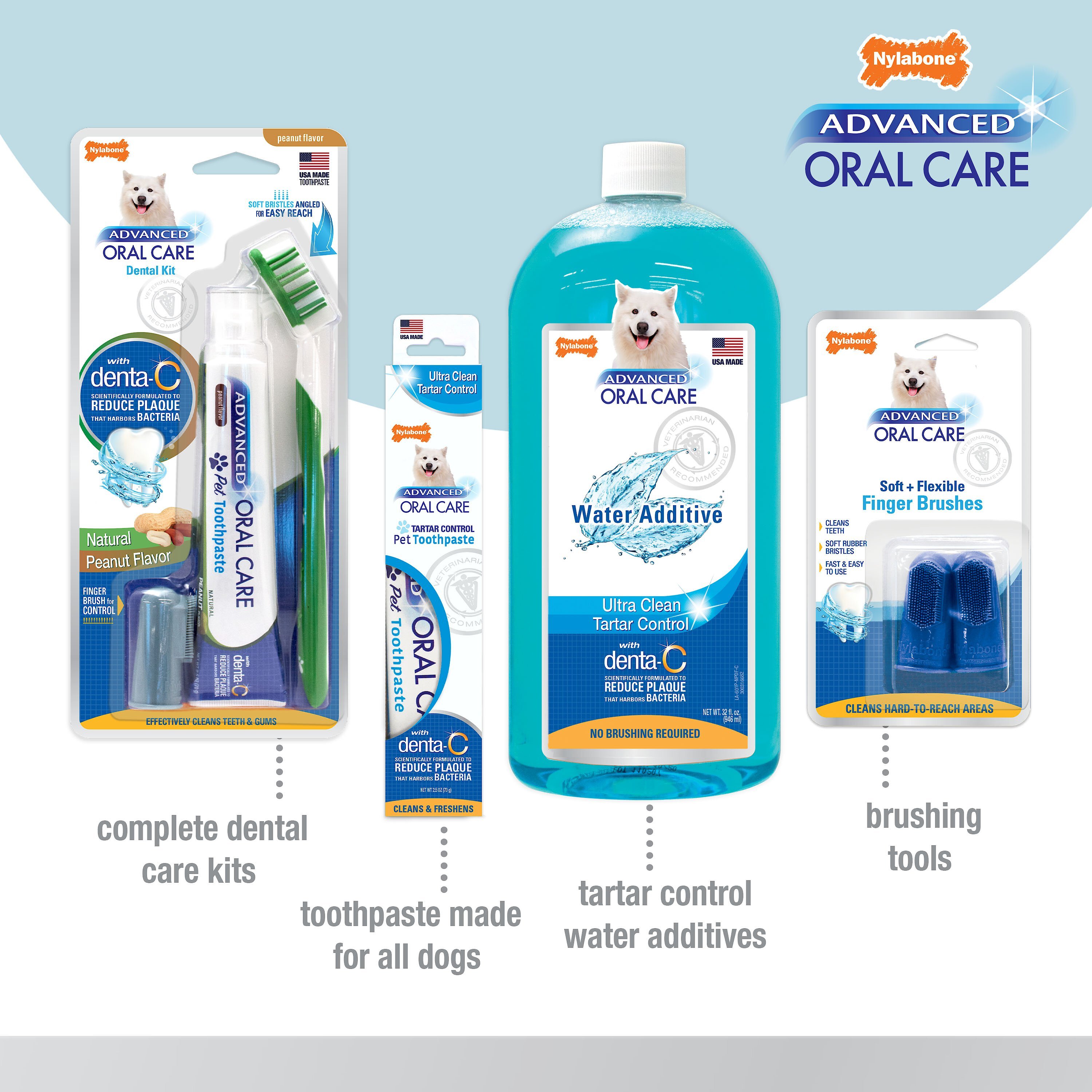 Nylabone Advanced Oral Care Natural Peanut Flavor Dog Toothpaste, 2.5-oz tube