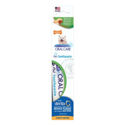 Nylabone Advanced Oral Care Natural Peanut Flavor Dog Toothpaste, 2.5-oz tube