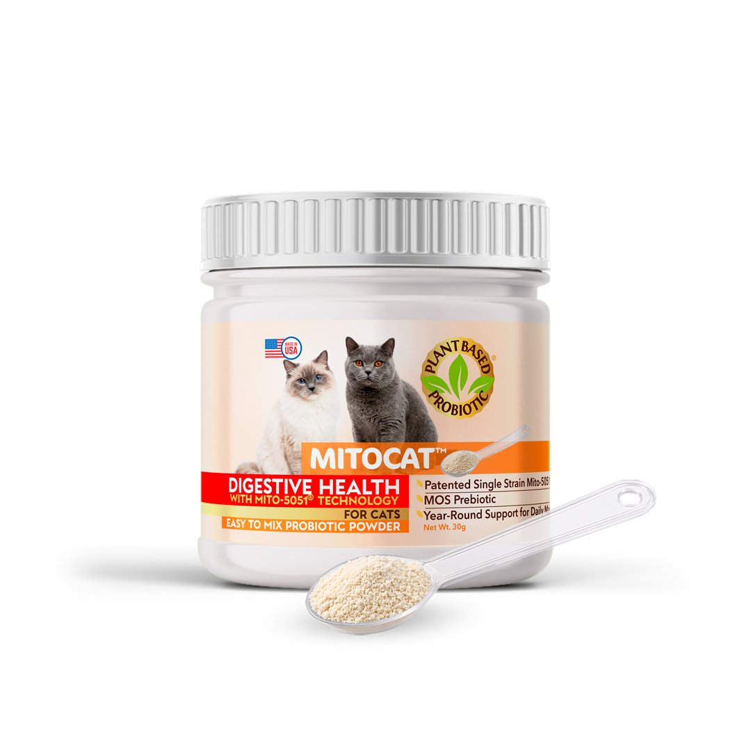 Imagilin Mitocat Digestive-Health Flavored Powder Supplement for Cats, 30g