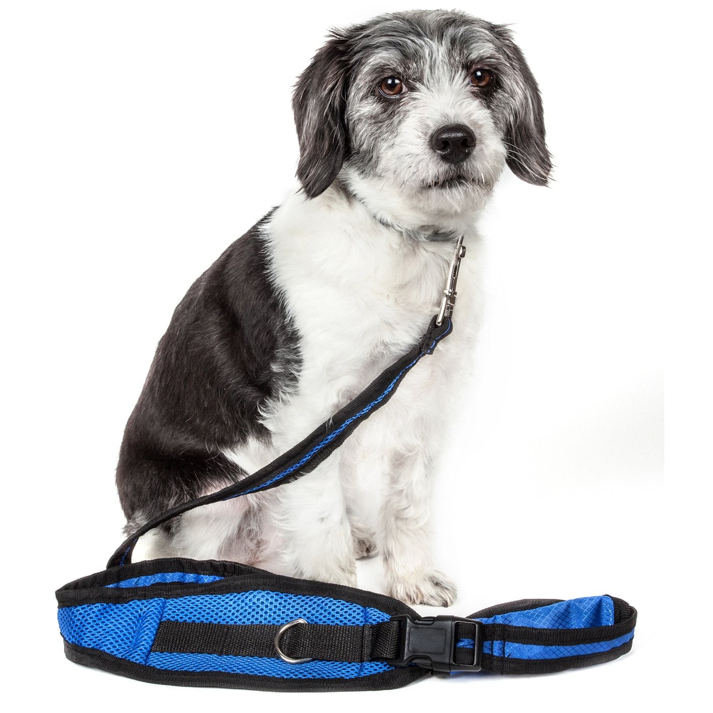 Pet Life 2-Piece Accordion & Hands-Free Belt-Clip Dog Leash Set, 3/4-in wide, Blue