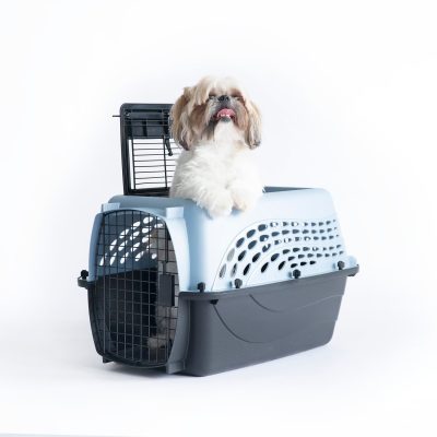 Petmate Two Door Top Load Dog & Cat Kennel, Blue, 24 inches, up to 15-lbs
