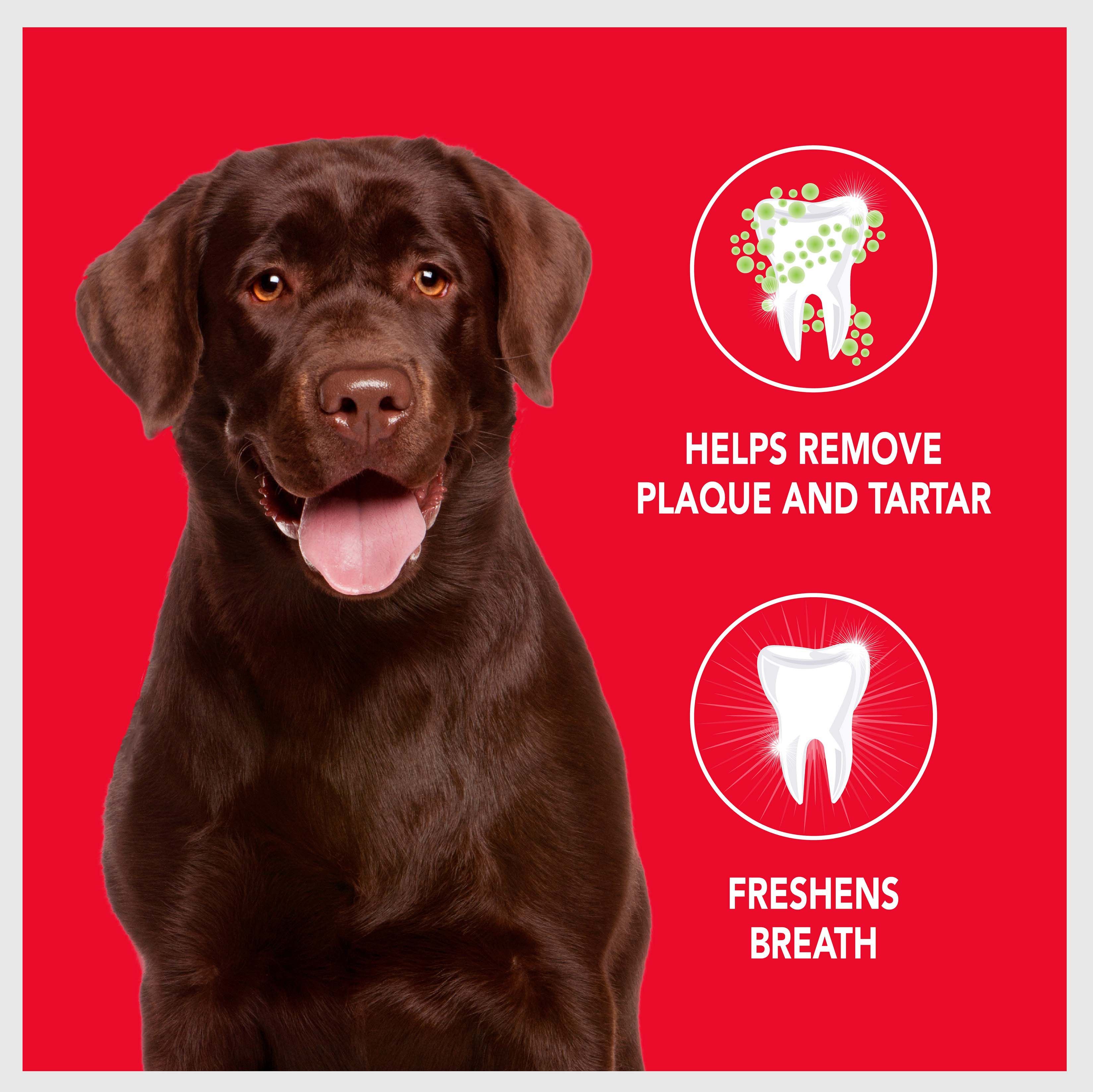 Sentry Petrodex Veterinary Strength Enzymatic Poultry Flavor Dog Toothpaste, 2.5-oz
