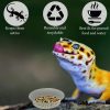 SunGrow Reptile Water Dish & Food Bowl, Lizard & Gecko Feeding Ledge Cups, 1-oz, 100 count - image 3