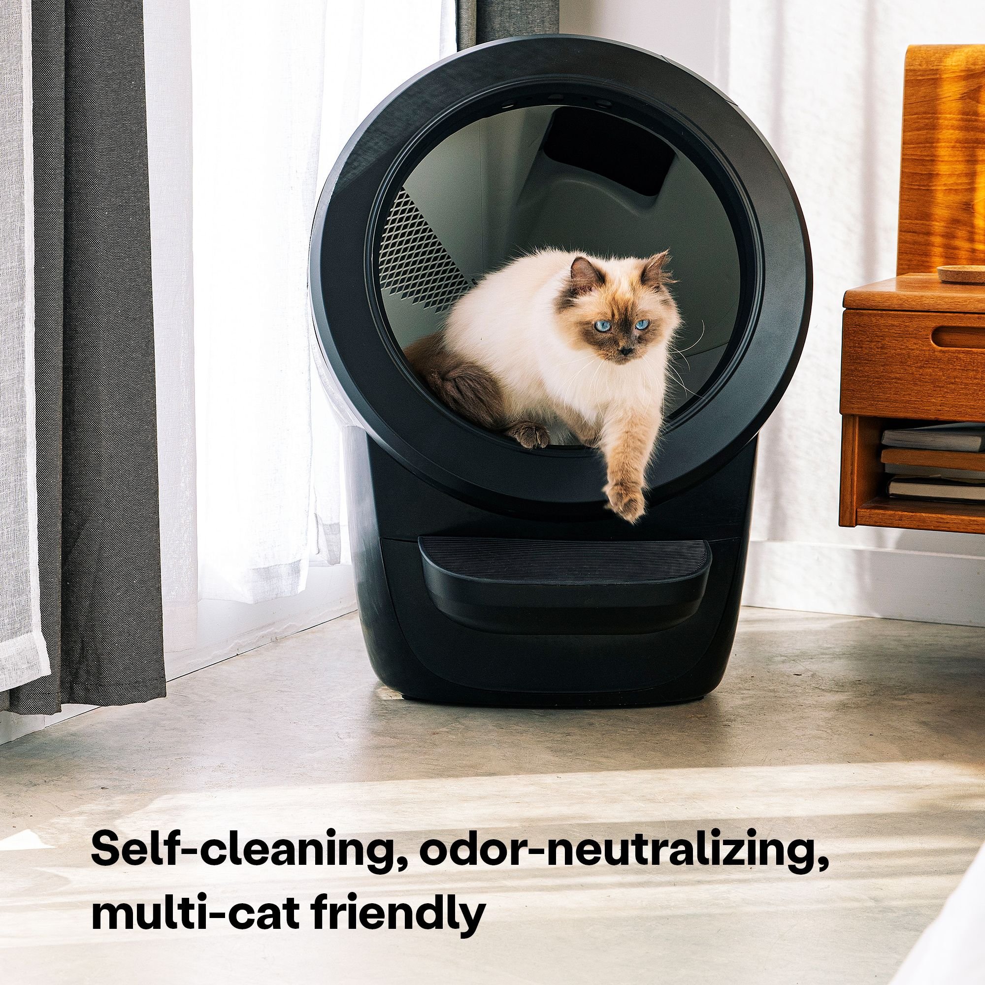 Whisker Litter-Robot 4 Automatic Self-Cleaning Cat Litter Box, Black - image 2