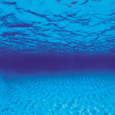 Seaview Aquascape Reversible Background Aquarium Accessory, Seascape/Natural Mystic, 12X24-in