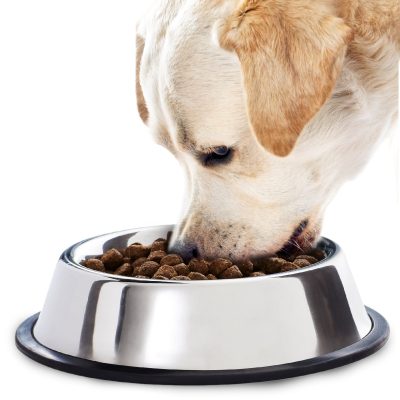 SunGrow No Spill Stainless Steel Large Dog Water & Food Bowl with Non-Slip Rubber Base, 64-oz