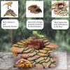 Vila Bearded Dragon & Leopard Gecko Cave & Basking Rock Shelter Reptile Hideout - image 3