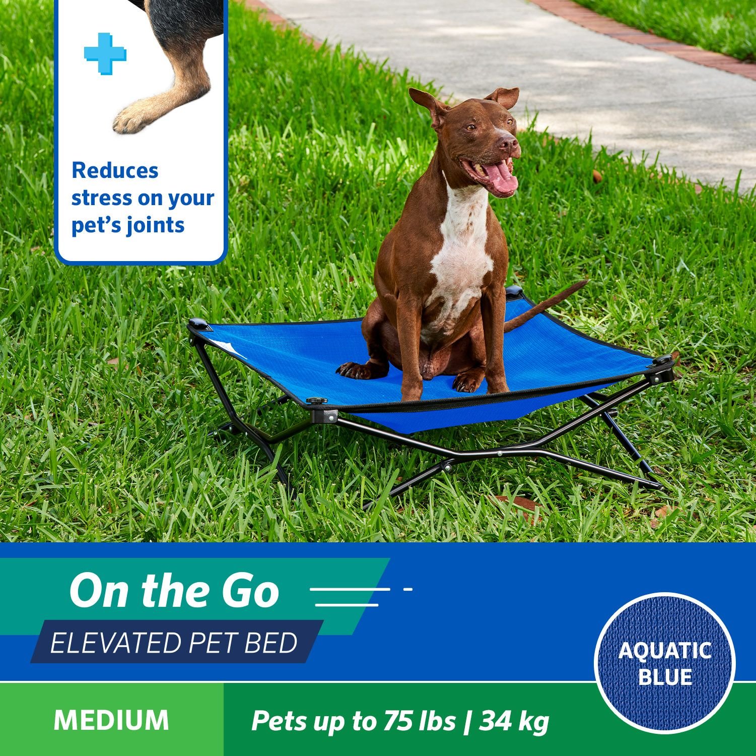 Coolaroo On The Go Elevated Cat & Dog Bed with Removable Cover, Aquatic Blue, Medium