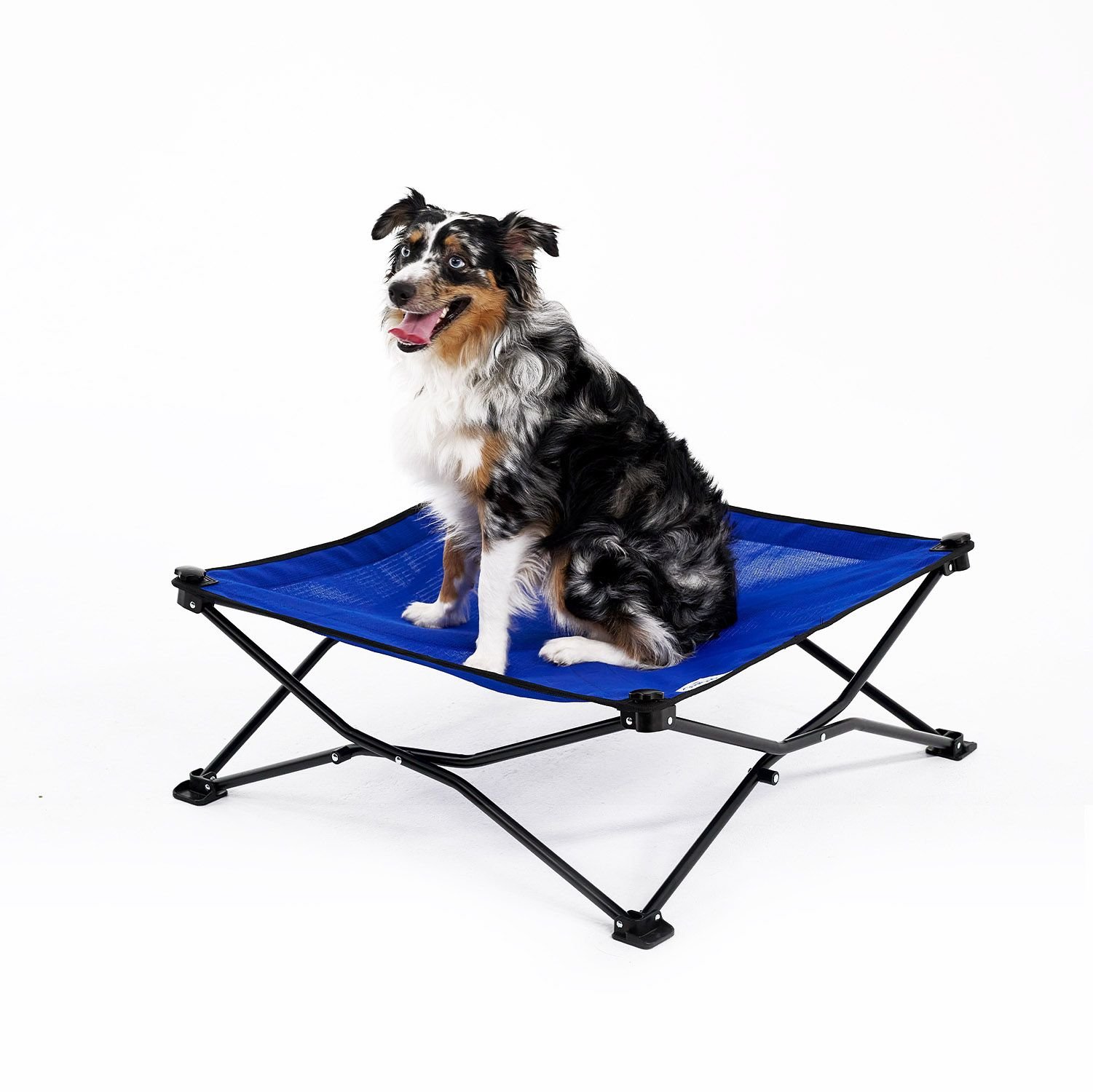Coolaroo On The Go Elevated Cat & Dog Bed with Removable Cover, Aquatic Blue, Medium