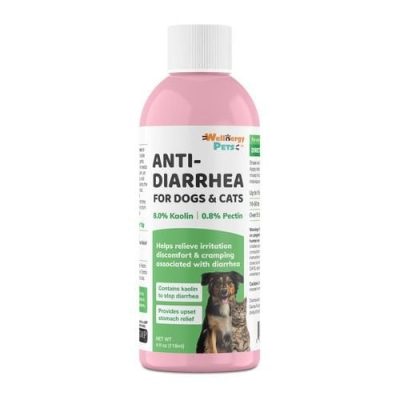 Wellnergy Pets Anti-Diarrhea Suspension Supplement for Dogs & Cats, 4-oz bottle