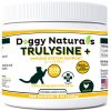 Pet Health Pharma Trulysine & Immune Support Oral Powder Cat Supplement, 8-oz bottle - image 1
