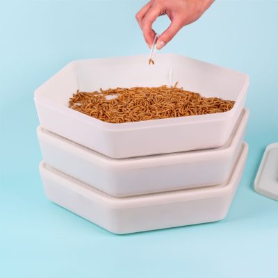 The Bug Factory Mealworm Growing Pod Reptile Feeder, White & Green