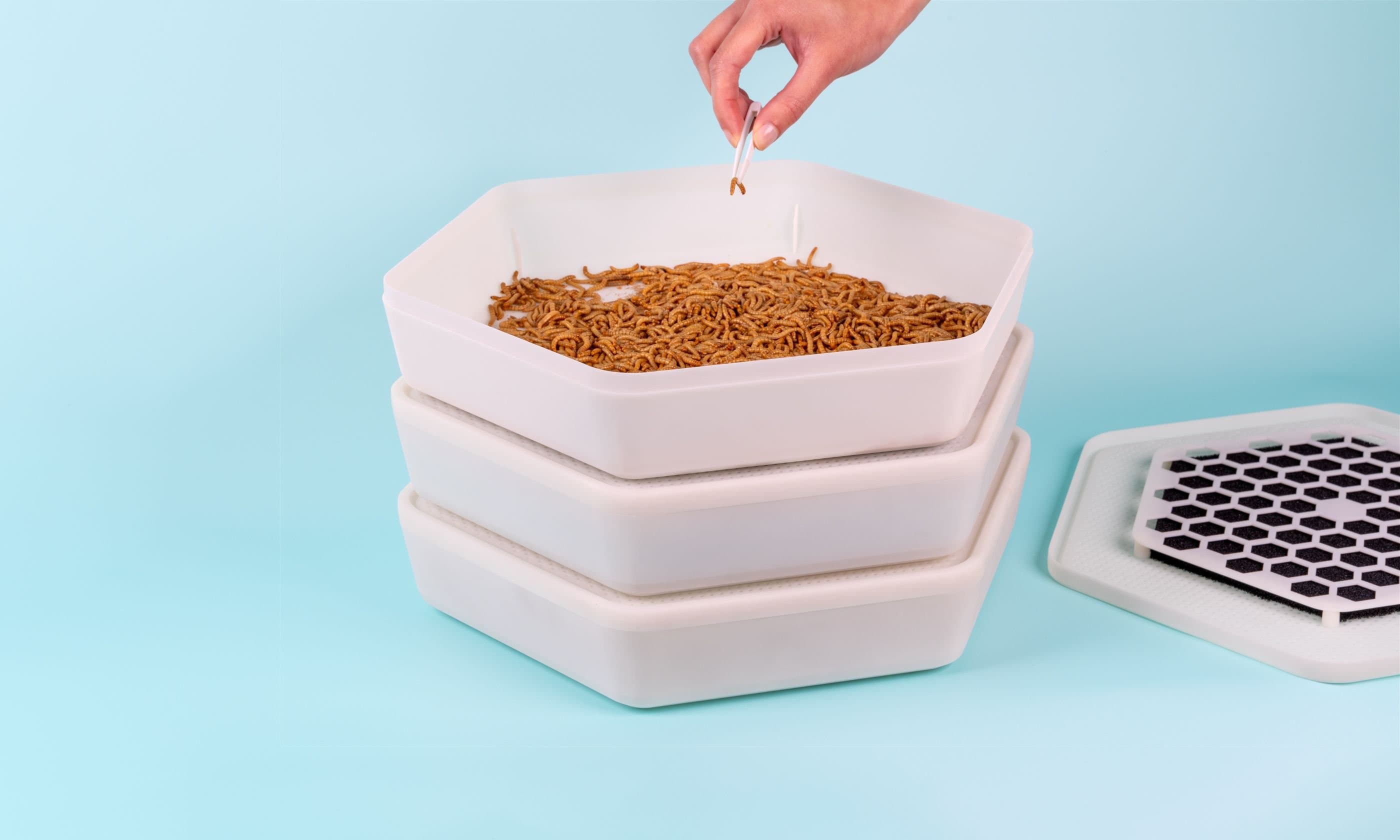 The Bug Factory Mealworm Growing Pod Reptile Feeder, White & Green