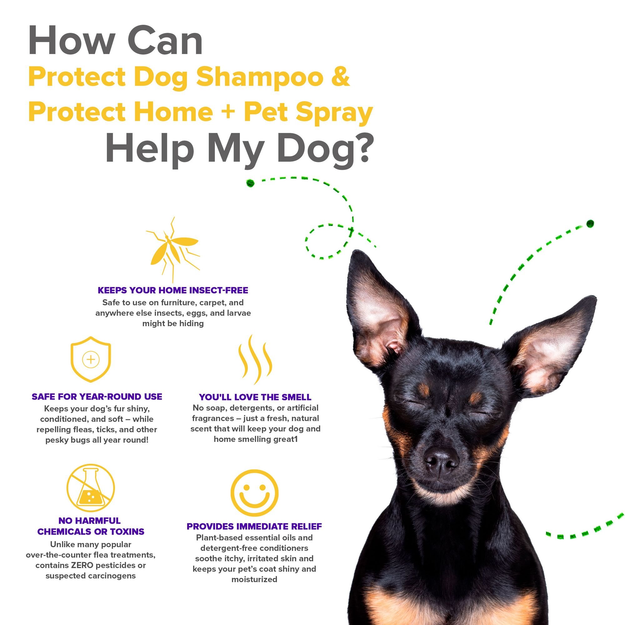 VetSmart Formulas Protect Dog Shampoo & Home + Dog Spray, 8-oz bottle, 2 count