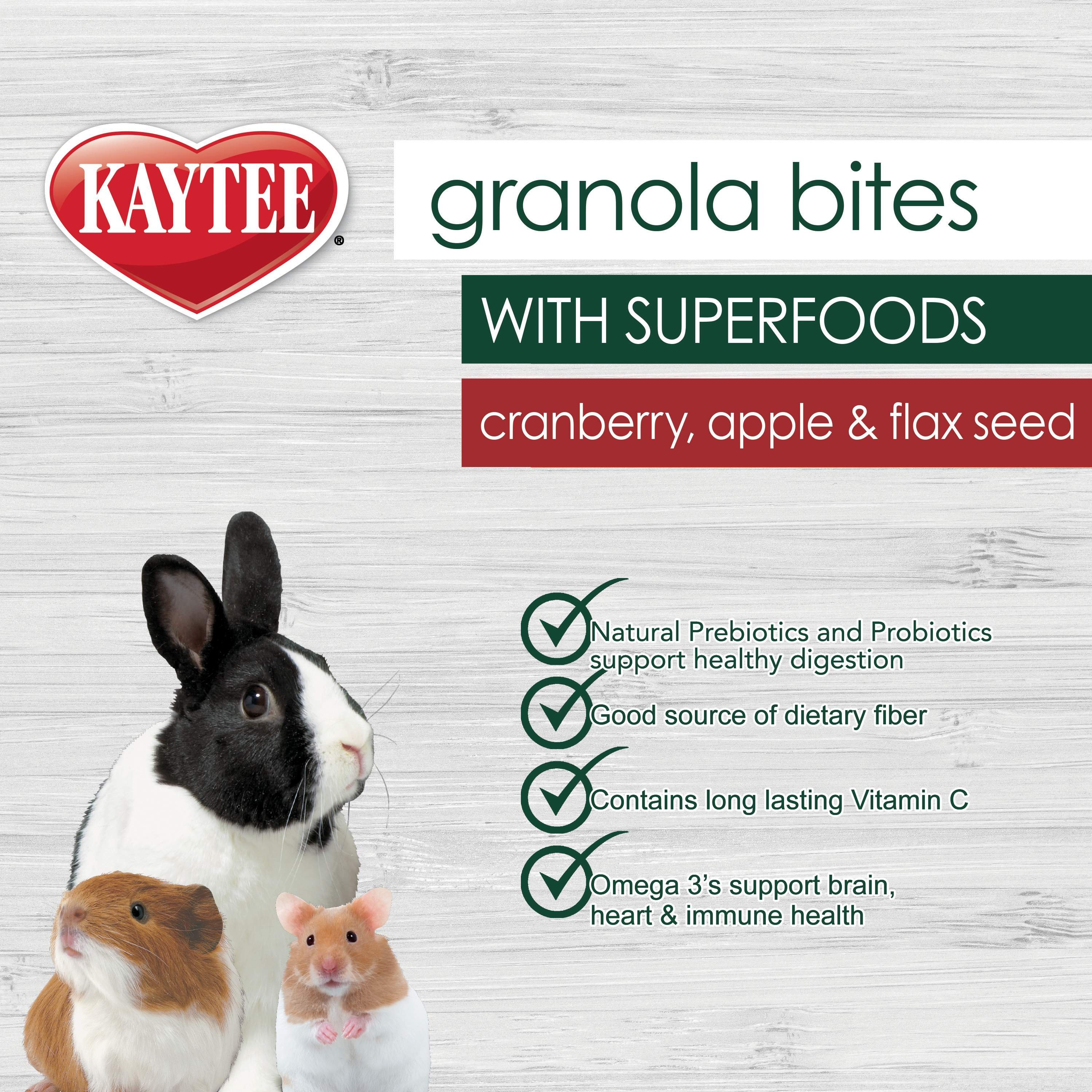 Kaytee Granola Small Animal Bites with Superfoods Cranberry Apple & Flax Small Pet Treats, 4.5-oz bag