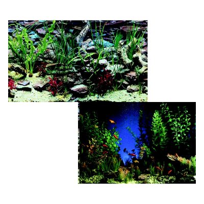 Penn-Plax Double-Sided Aquarium Fish Background, Aquarama/Shalescape