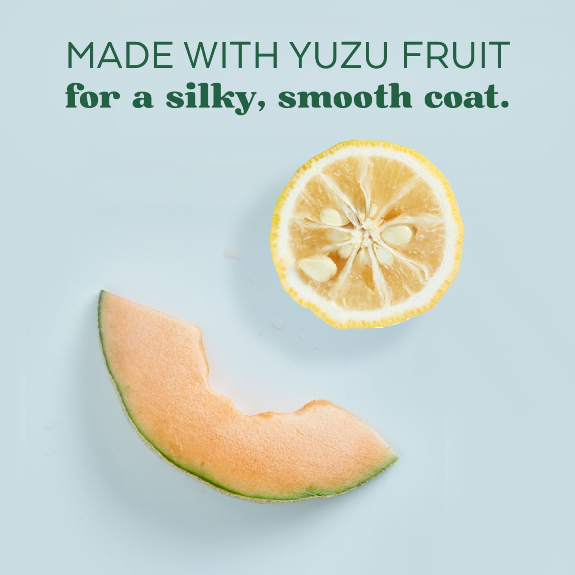 TropiClean Essentials Hydrating Yuzu Fruit Deodorizing Spray for Dogs, 8-fl oz bottle
