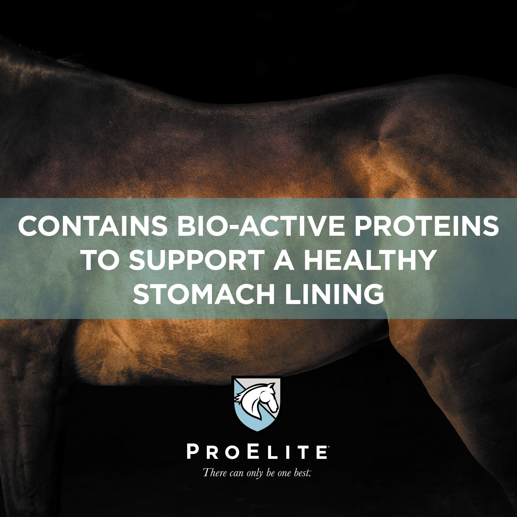 ProElite Soothing Pink Xtra Strength Gut Health Support Horse Supplement, 3-lb tub - image 3