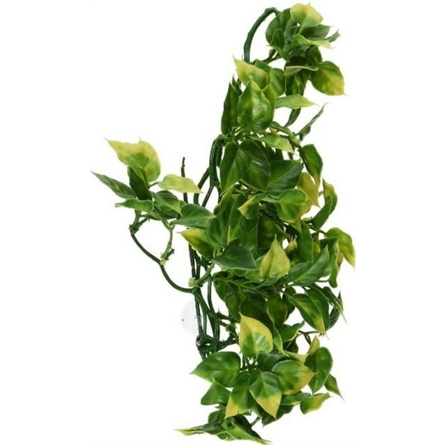 Exo Terra Plastic Terrarium Reptile Plant, Medium, Amapallo - image 2