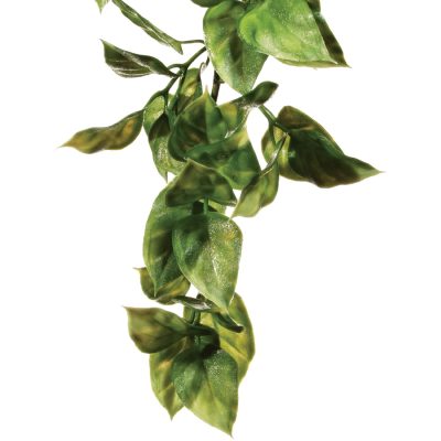 Exo Terra Plastic Terrarium Reptile Plant, Medium, Amapallo